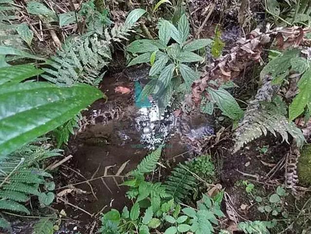 Sítio e chácara venda em Região Geográfica Imediata de Itajubá, Marmelópolis