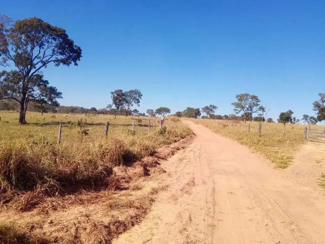 Sítio e chácara venda em Região Geográfica Imediata de Caldas Novas-Morrinhos, Marzagão
