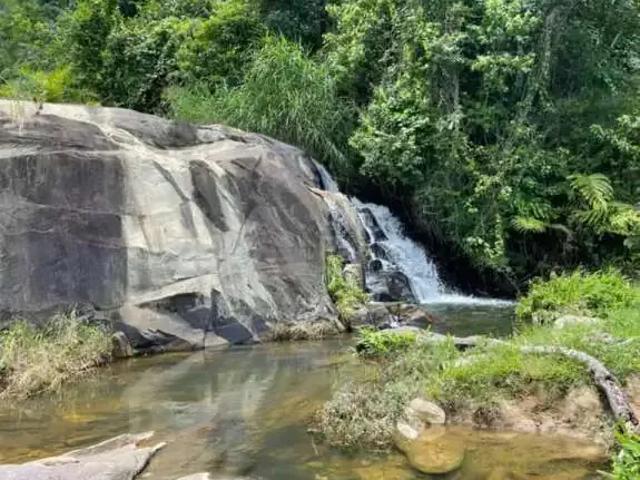 Sítio e chácara venda em Região Geográfica Imediata de Camacan, Mascote