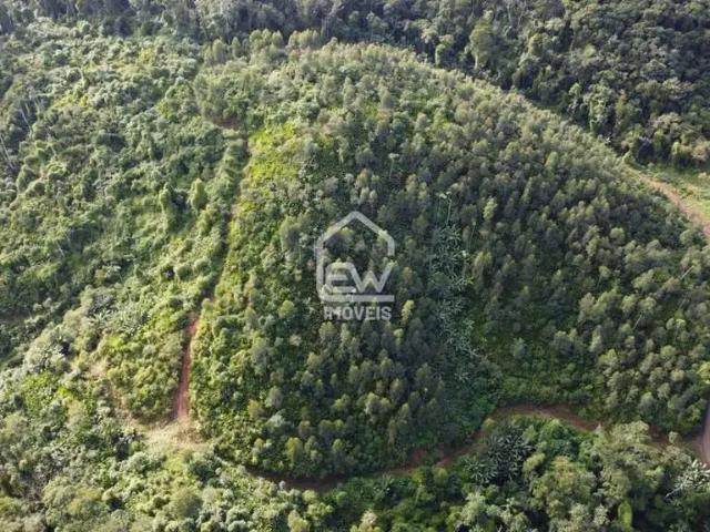 Sítio e chácara venda em Região Geográfica Imediata de Joinville, Massaranduba