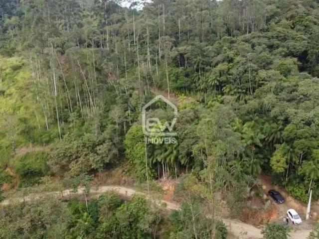 Sítio e chácara venda em Região Geográfica Imediata de Joinville, Massaranduba