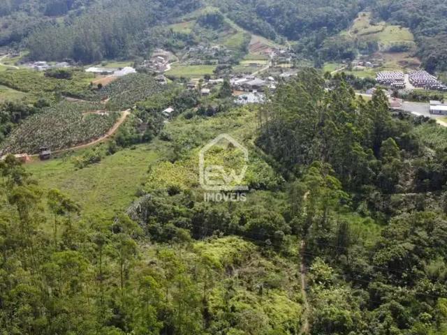 Sítio e chácara venda em Região Geográfica Imediata de Joinville, Massaranduba