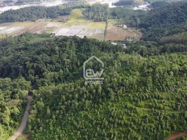 Sítio e chácara venda em Região Geográfica Imediata de Joinville, Massaranduba