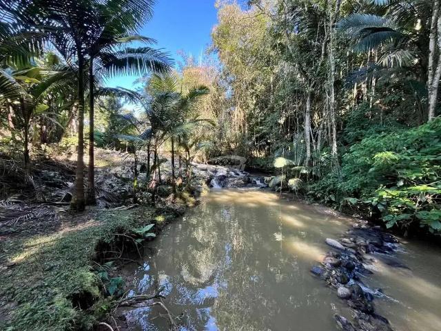 Sítio e chácara venda em Região Geográfica Imediata de Joinville, Massaranduba