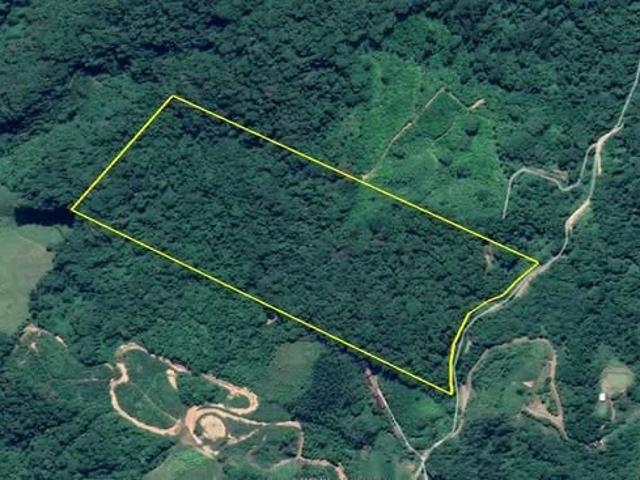 Sítio e chácara venda em Massaranduba, Região Geográfica Intermediária de Joinville