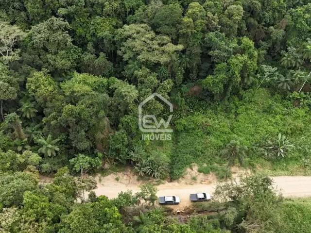 Sítio e chácara venda em Região Geográfica Imediata de Joinville, Massaranduba