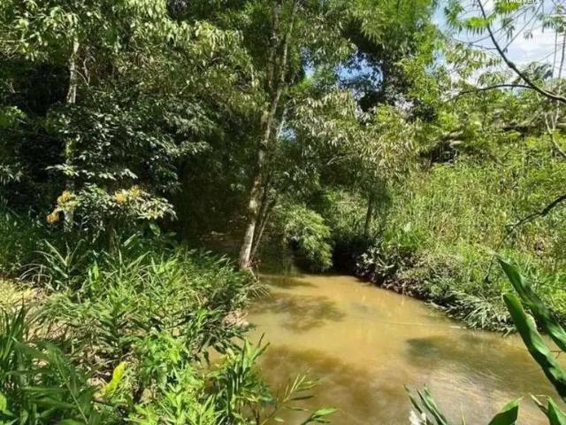 Sítio e chácara venda em Região Geográfica Imediata de Joinville, Massaranduba
