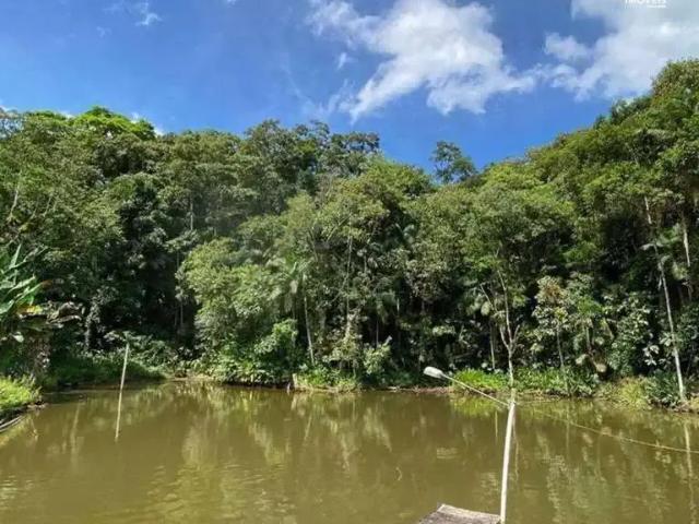 Sítio e chácara venda em Região Geográfica Imediata de Blumenau, Blumenau