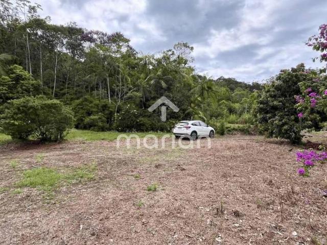 Sítio e chácara venda em Região Geográfica Imediata de Joinville, Massaranduba