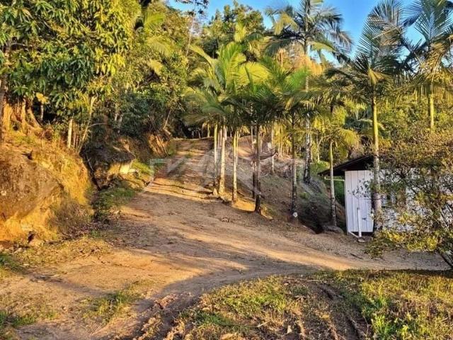 Sítio e chácara venda em Massaranduba, Região Geográfica Intermediária de Joinville