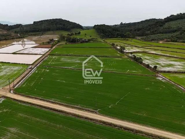 Sítio e chácara venda em Região Geográfica Imediata de Joinville, Massaranduba