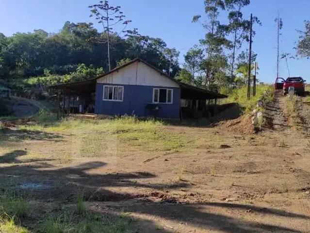 Sítio e chácara venda em Região Geográfica Imediata de Joinville, Massaranduba