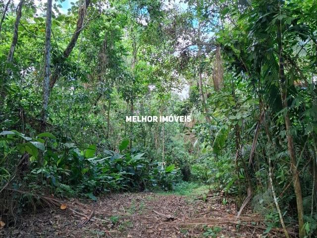 Sítio e chácara venda em Massaranduba, Região Geográfica Intermediária de Joinville