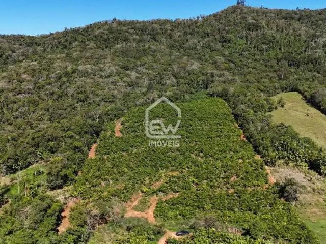 Sítio e chácara venda em Região Geográfica Imediata de Joinville, Massaranduba