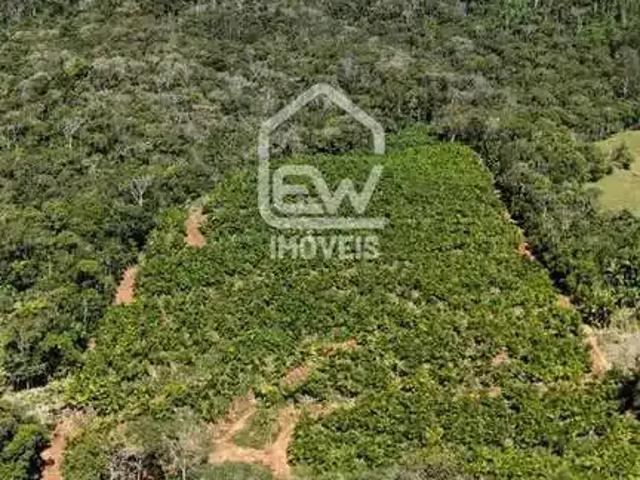 Sítio e chácara venda em Região Geográfica Imediata de Joinville, Massaranduba