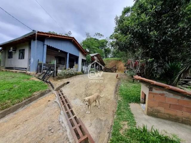 Sítio e chácara venda em Região Geográfica Imediata de Joinville, Massaranduba
