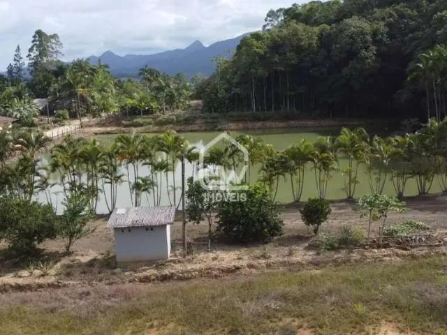 Sítio e chácara venda em Região Geográfica Imediata de Joinville, Massaranduba