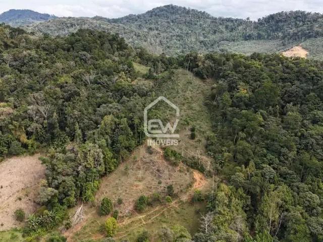 Sítio e chácara venda em Região Geográfica Imediata de Joinville, Massaranduba