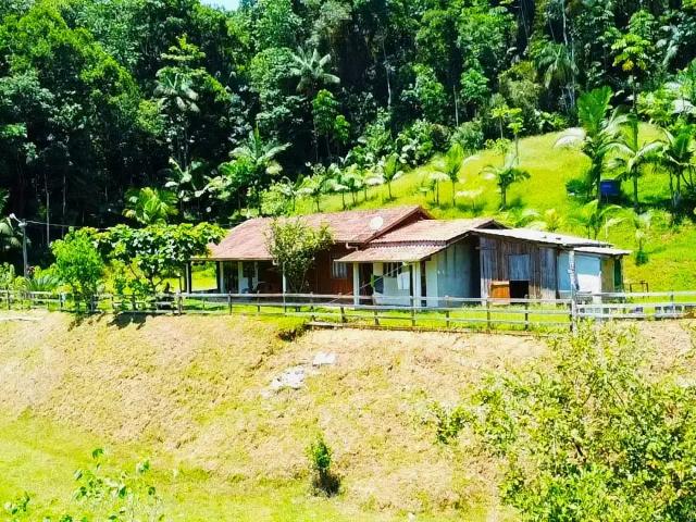 Sítio e chácara venda em Região Geográfica Imediata de Joinville, Massaranduba
