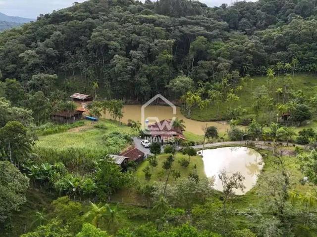 Sítio e chácara venda em Região Geográfica Imediata de Joinville, Massaranduba