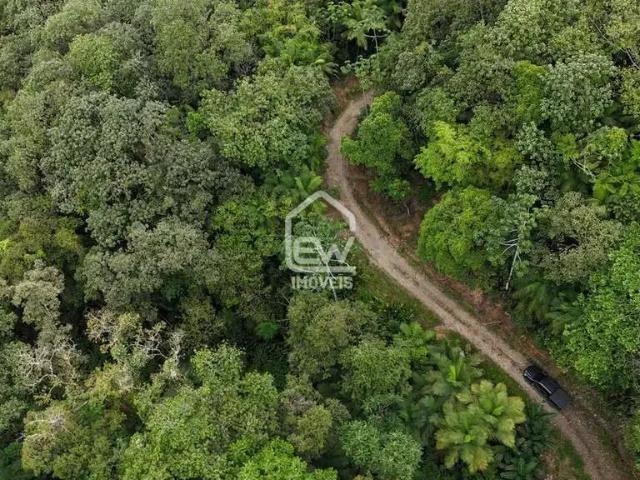 Sítio e chácara venda em Região Geográfica Imediata de Joinville, Massaranduba