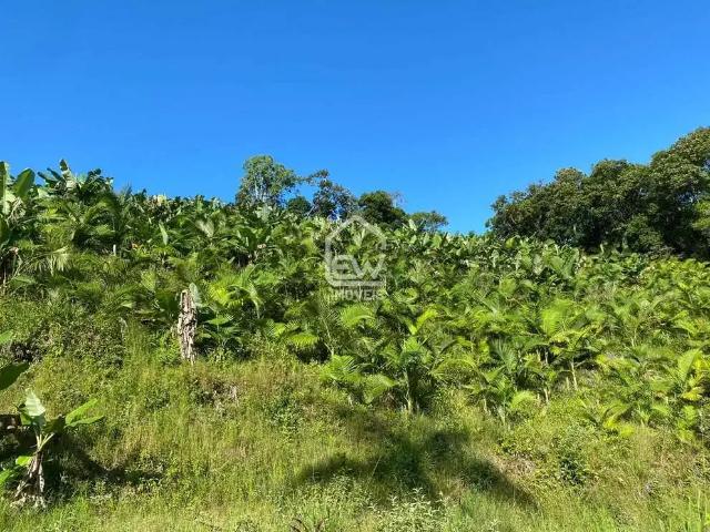 Sítio e chácara venda em Região Geográfica Imediata de Joinville, Massaranduba