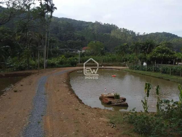 Sítio e chácara venda em Região Geográfica Imediata de Joinville, Massaranduba