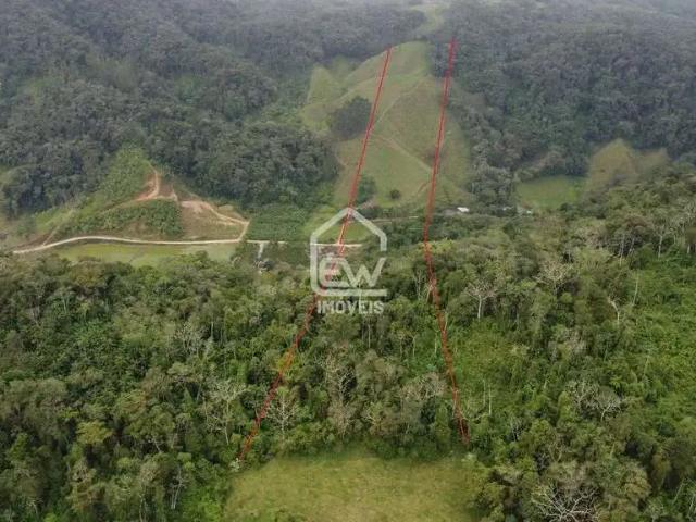 Sítio e chácara venda em Região Geográfica Imediata de Joinville, Massaranduba
