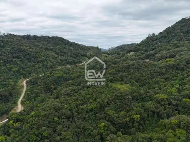Sítio e chácara venda em Região Geográfica Imediata de Joinville, Massaranduba
