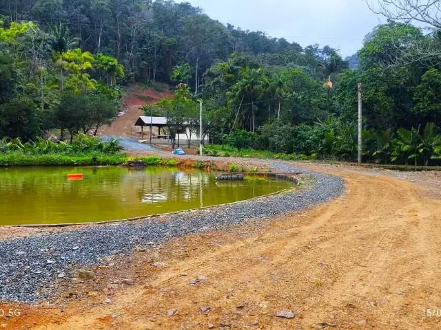 Sítio e chácara venda em Região Geográfica Imediata de Joinville, Massaranduba