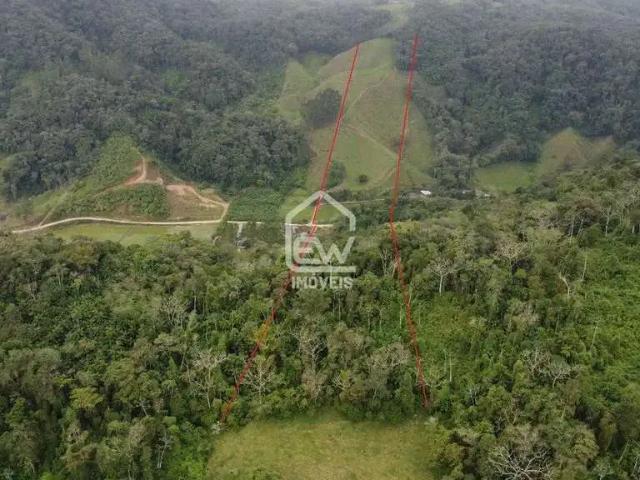 Sítio e chácara venda em Região Geográfica Imediata de Joinville, Massaranduba