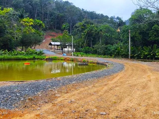 Sítio e chácara venda em Região Geográfica Imediata de Joinville, Massaranduba