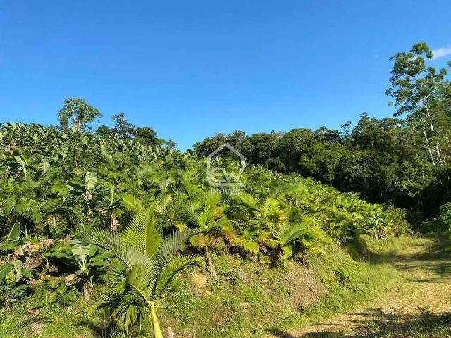 Sítio e chácara venda em Região Geográfica Imediata de Joinville, Massaranduba
