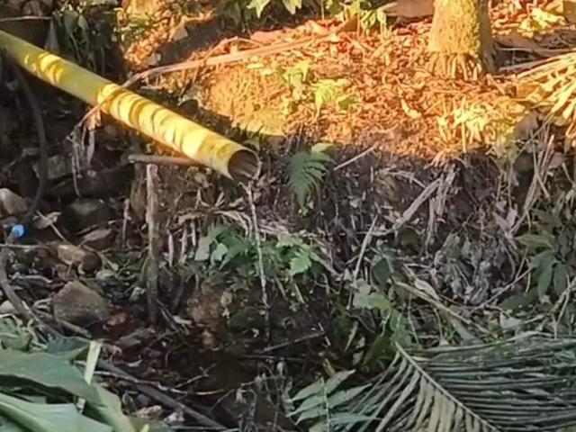 Sítio e chácara venda em Região Geográfica Imediata de Joinville, Massaranduba