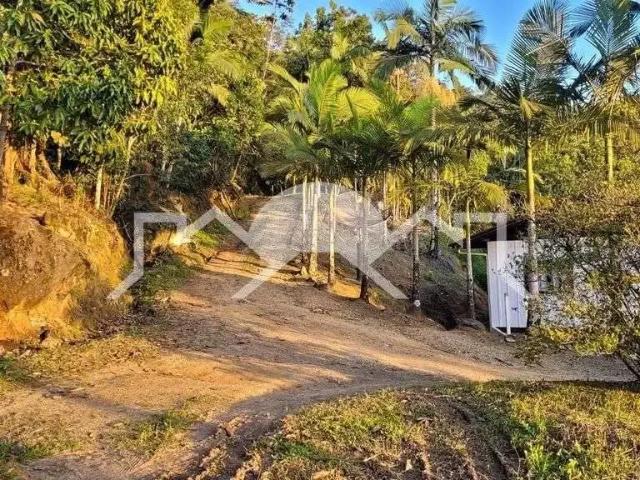 Sítio e chácara venda em Região Geográfica Imediata de Joinville, Massaranduba