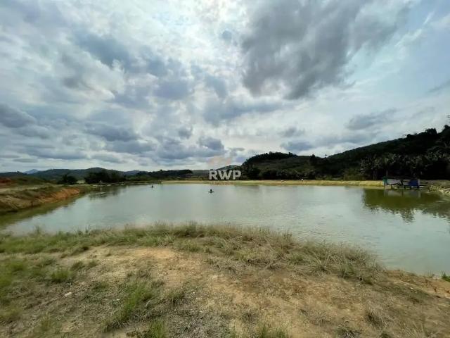 Sítio e chácara venda em Região Geográfica Imediata de Joinville, Massaranduba