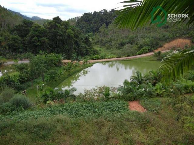 Sítio e chácara venda em Região Geográfica Imediata de Joinville, Massaranduba