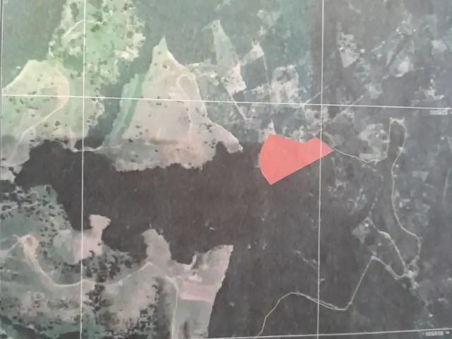 Sítio e chácara venda em Região Geográfica Imediata de Salvador, Região Metropolitana de Salvador