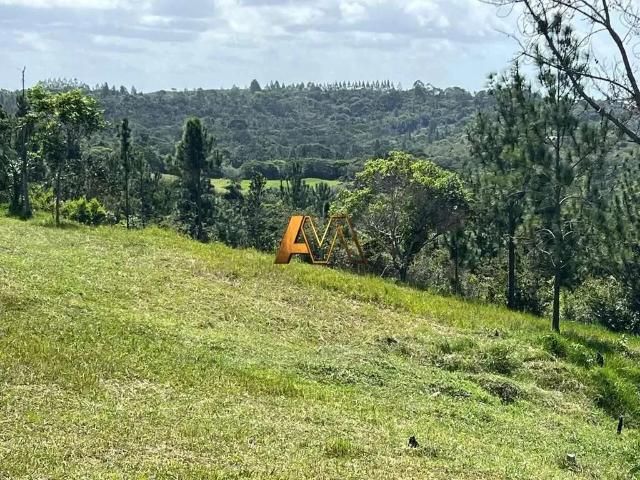 Sítio e chácara venda em Região Geográfica Imediata de Salvador, Região Metropolitana de Salvador