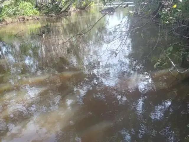 Sítio e chácara venda em Região Geográfica Imediata de Salvador, Região Metropolitana de Salvador