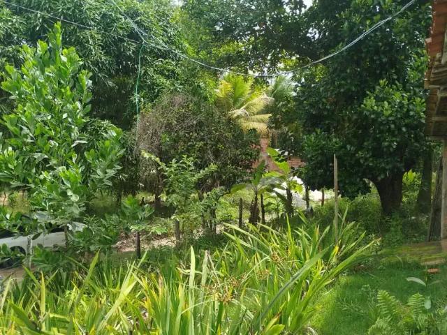 Sítio e chácara venda em Região Geográfica Imediata de Salvador, Região Metropolitana de Salvador