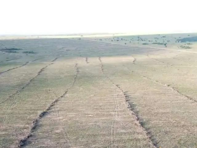 Sítio e chácara venda em Região Geográfica Imediata de Palmas, Mateiros
