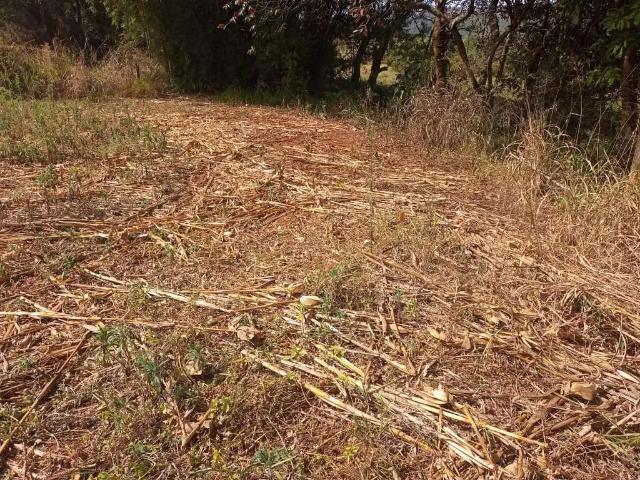 Sítio e chácara venda em Região Geográfica Imediata de Belo Horizonte, Região Metropolitana de Belo Horizonte
