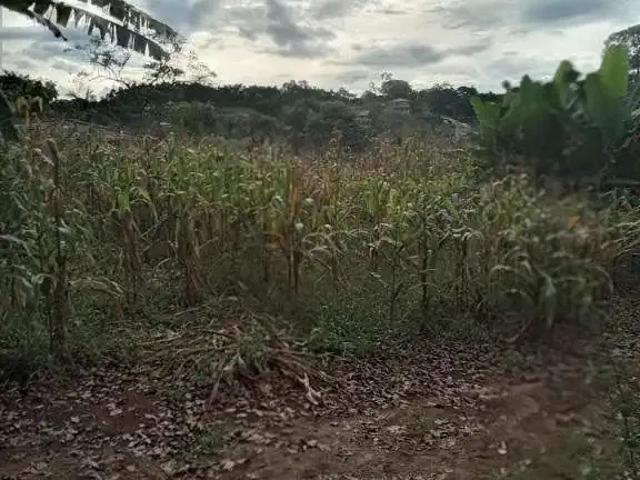 Sítio e chácara venda em Região Geográfica Imediata de Belo Horizonte, Região Metropolitana de Belo Horizonte