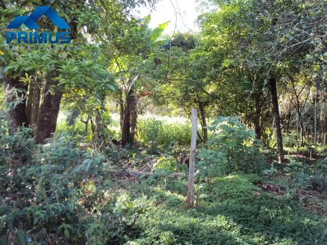 Sítio e chácara venda em Mateus Leme, Região Geográfica Intermediária de Belo Horizonte
