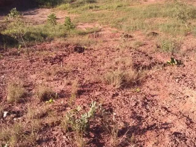 Sítio e chácara venda em Região Geográfica Imediata de Belo Horizonte, Região Metropolitana de Belo Horizonte