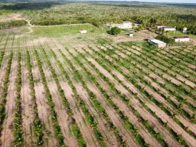 Sítio e chácara venda em Região Geográfica Imediata de Natal, Maxaranguape
