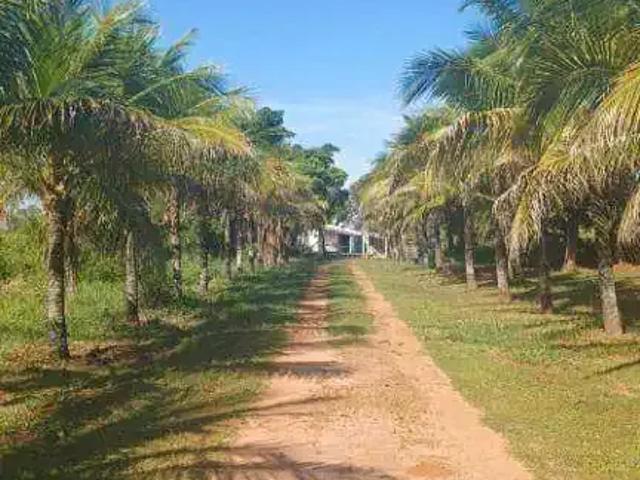 Sítio e chácara venda em Região Imediata de São José do Rio Preto, Região Metropolitana de São José do Rio Preto