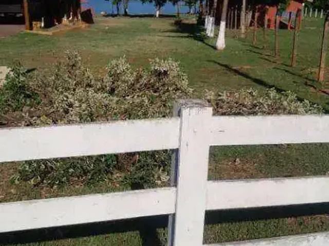 Sítio e chácara venda em Região Imediata de São José do Rio Preto, Região Metropolitana de São José do Rio Preto