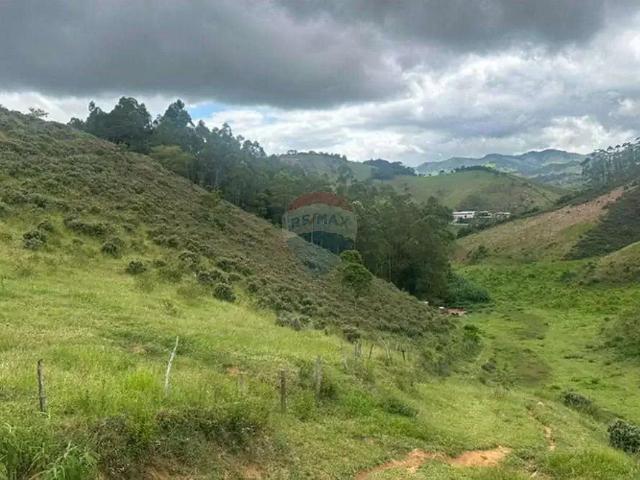 Sítio e chácara venda em Região Geográfica Imediata de Ubá, Mercês